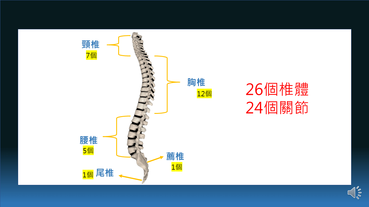 投影片3