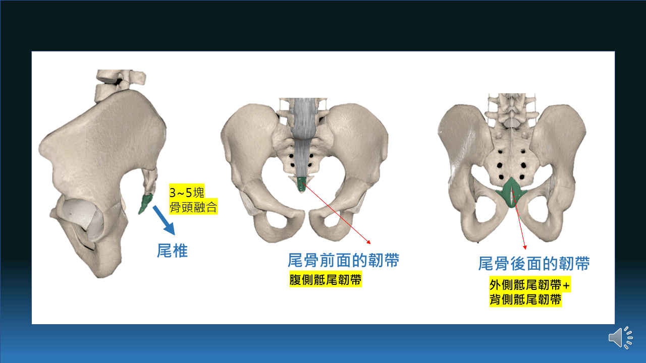 投影片4